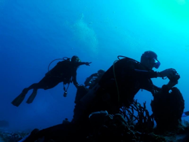 Compañerismo y buceo